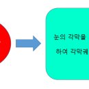 봉식동물병원 이미지