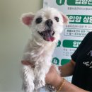 별내3로 이미지