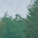 RU 골프연습장 이미지