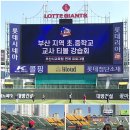 티볼 이미지