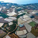 일과리 지석묘 이미지