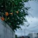 유하상회 이미지