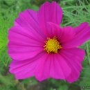 추곡약수터 이미지