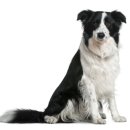 제일농장1 이미지