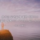 청춘닭꼬치 네이버블로그