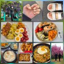 차와 함께 일상으로의 여행 | 일상 26년 4월 4주차 일상 (태화강국가정원 모네의...건강식단, 헬키푸키, 동구 알콩달콩 순두부, T...