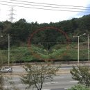 강서구-76 이미지