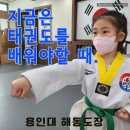 용인대 해동 태권도장 이미지