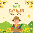 내검농장 | 주간 농사정보 (2024. 4. 1. ~ 4. 7.)