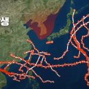 2025년 8월 29일 오늘의 운세 이미지