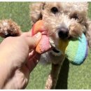 월드유치원 이미지