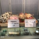 와우로119번길 이미지