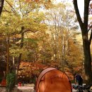 치인야영장 화장실 이미지