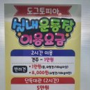 도그토피아 이미지