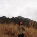 남도의 향기 이미지