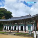 전남 가볼만한곳 장성 백양사 백암사 단풍 가을 여행지로 유명한 곳 명소 추천
