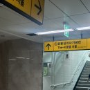 [여행/서울] 양재호텔 강남호텔 더케이호텔 서울 _ 금~토요일 1박 내돈내산 솔직후기