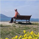 홍조단괴 탈의장(서빈백사) | 에메랄드빛 산호해변, 우도 홍조단괴 서빈백사해변과 하고수동해변