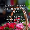 영주 제일교회 이미지