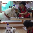 AKA 크로스핏 | 3월 아직 추운 봄의 초입에 써보는 일상