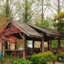 백암농원 이미지