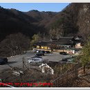 대골2 | 포항.운제산 산여골/시루봉골/대골 (2022.3.16)
