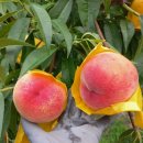 병준농장 이미지