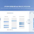 빅인사이트