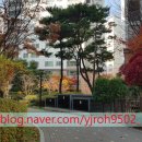 권선자이114공인중개사사무소 이미지