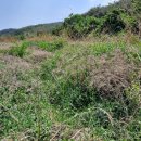 덕암리 경로당 이미지