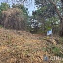 면천 자개리 유적 이미지