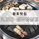 코끼리생막창 이미지