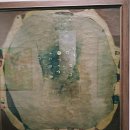 서서울자동차산업(주) | 한국 현대 미술 하이라이트를 보고 와서 MMCA 서울 상설전