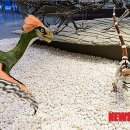 지질자원연구원 지질박물관 이미지