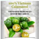 깔라만시다이어트 더순렛츠미 건강하게 맛있네