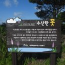 꼬리수산