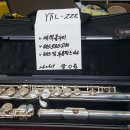 플룻 Daum카페