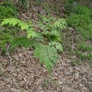 효원농장 이미지