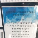 캐비어동물메디컬센터 이미지