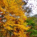 기린농협주유소 이미지