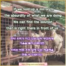 천마리농장 이미지