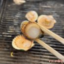 마시쩡 | 두정동 24시간 영업 천안조개구이무한리필 재방문 후기
