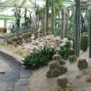 Flower Garden 이미지