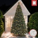 홀리데이 이미지