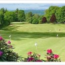 애플랜드 이미지