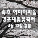 [클릭하세요] 벚꽃물결 출렁대는 동해바다의 아름다운 봄날! [경포벚꽃잔치 + 속초아바이마을 + 휴휴암] 이미지