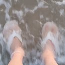 현해탄수산 | 충남 태안 여행 Part.2 숙소 추천 소풍 게스트하우스 조용한 해수욕장 추천