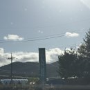 양양 발렌타인 애견펜션 | [양양 애견펜션] 재방문한 글램독 애견펜션 양양점 (가격/위치/솔직후기)