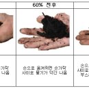 정상퇴비 이미지