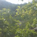 산이농원 이미지